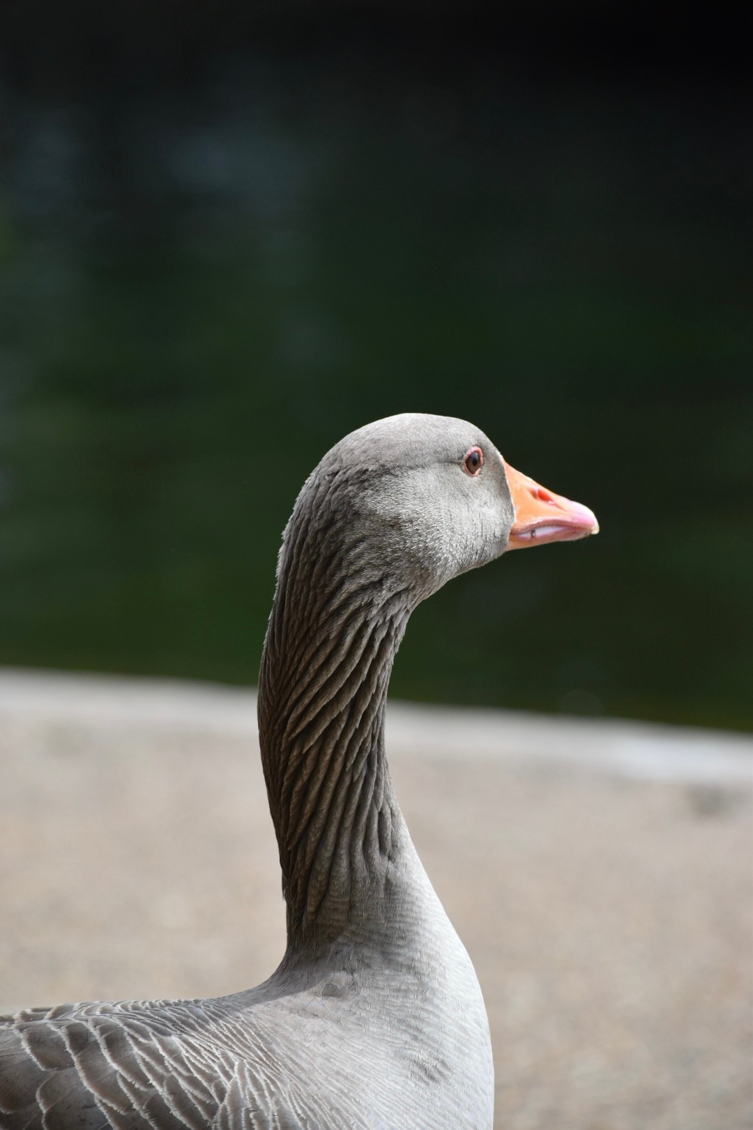 Two women sitting at a modern table talking with a city view behind them.